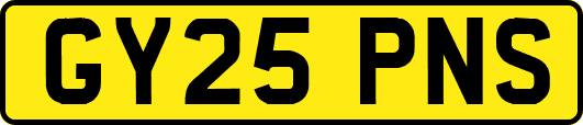 GY25PNS
