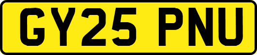 GY25PNU