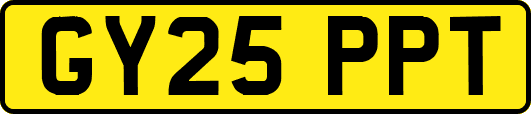 GY25PPT