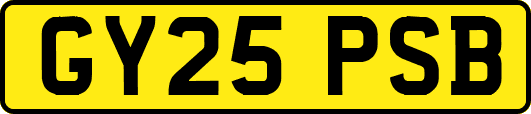 GY25PSB