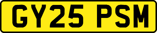 GY25PSM