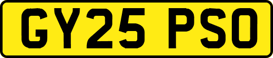 GY25PSO