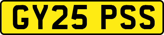GY25PSS