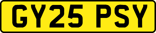 GY25PSY