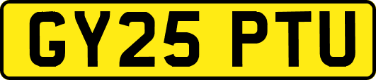 GY25PTU