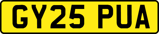 GY25PUA