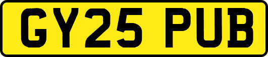 GY25PUB