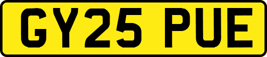 GY25PUE