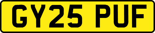 GY25PUF