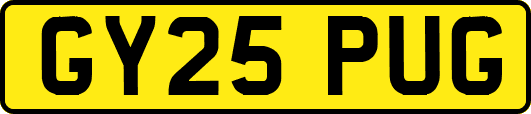 GY25PUG