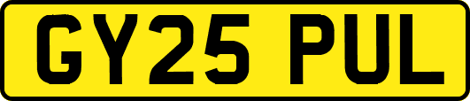 GY25PUL