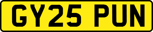 GY25PUN