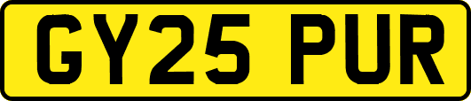 GY25PUR