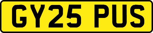 GY25PUS