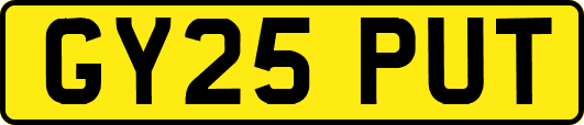 GY25PUT