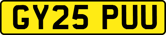 GY25PUU
