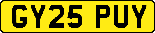 GY25PUY