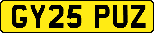 GY25PUZ