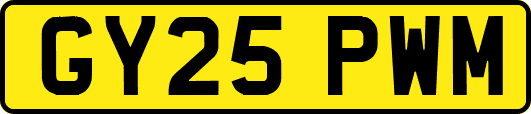 GY25PWM