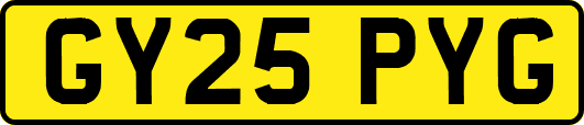 GY25PYG