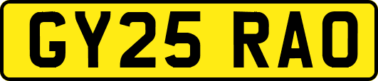 GY25RAO