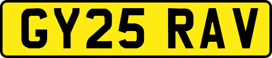 GY25RAV