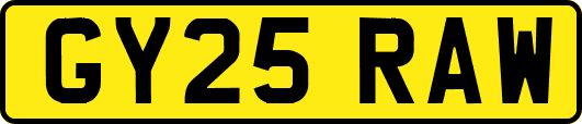 GY25RAW
