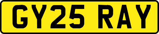 GY25RAY
