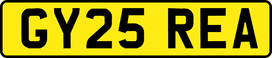 GY25REA