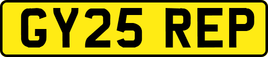 GY25REP