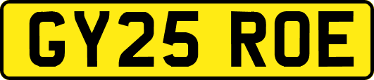 GY25ROE