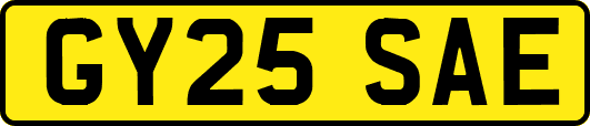GY25SAE