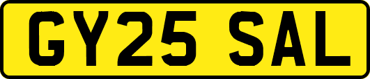 GY25SAL