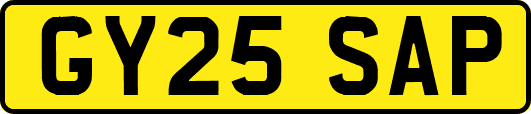 GY25SAP