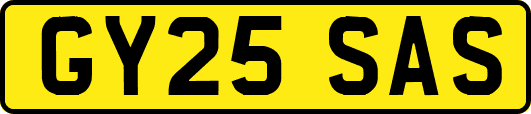 GY25SAS