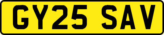GY25SAV