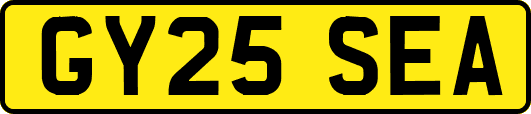 GY25SEA