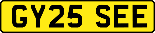 GY25SEE