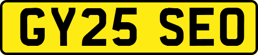 GY25SEO