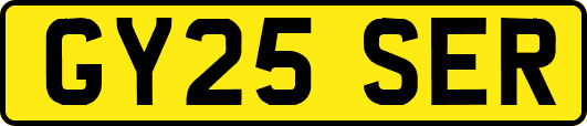 GY25SER
