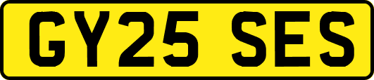 GY25SES