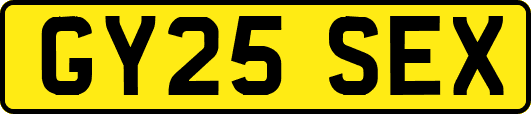 GY25SEX