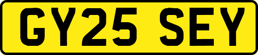 GY25SEY