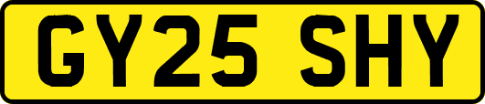 GY25SHY