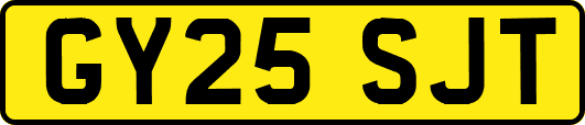 GY25SJT