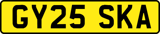 GY25SKA