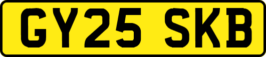 GY25SKB