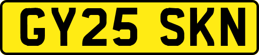 GY25SKN