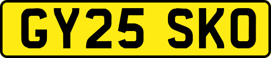 GY25SKO