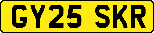 GY25SKR